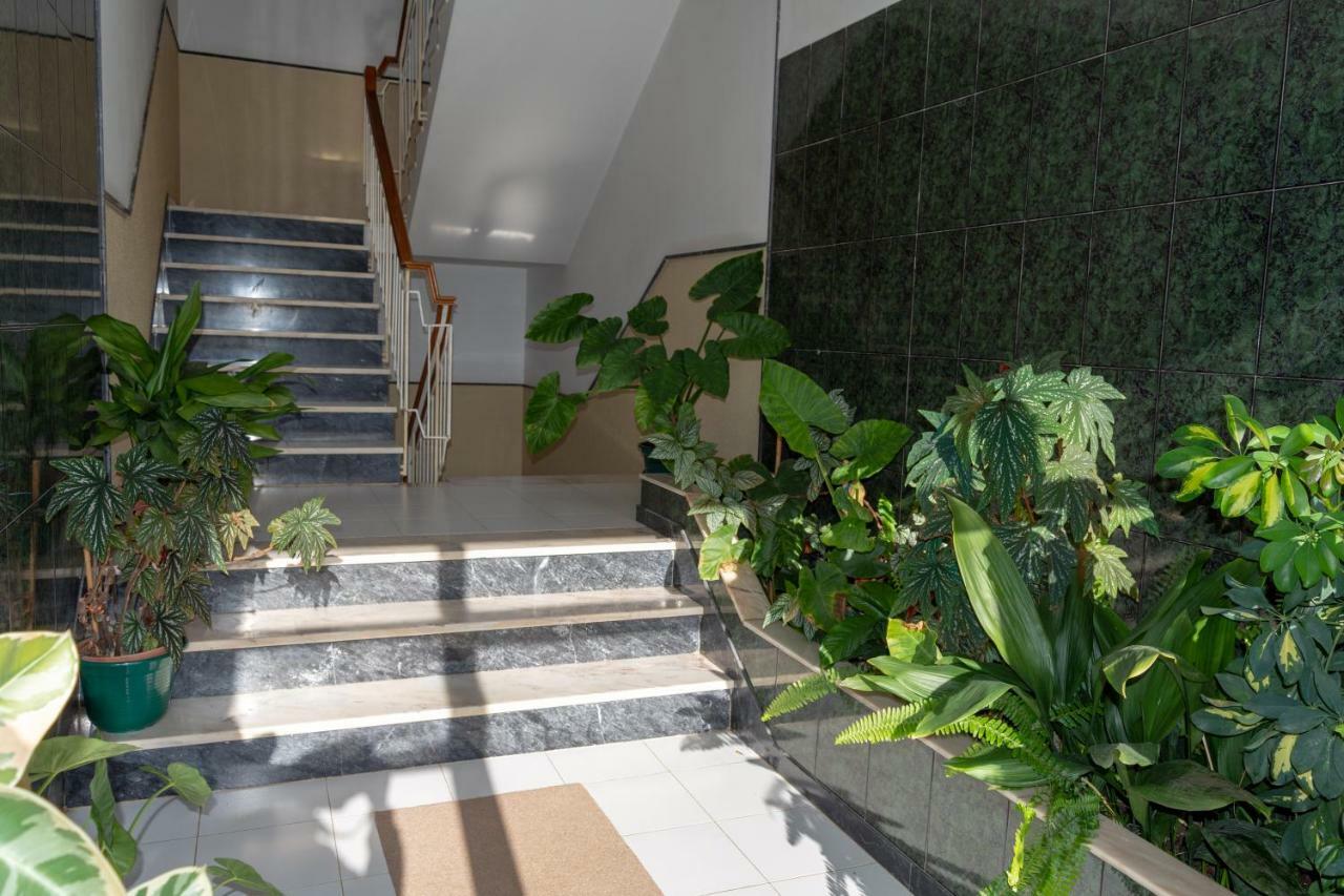 Flat In The Heart Of Algarve Apartment Sao Bras de Alportel Exterior photo